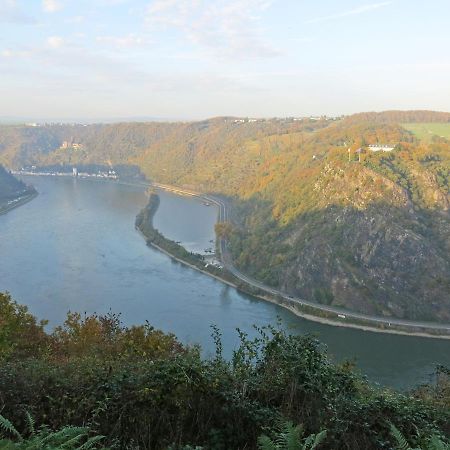 Roosartige Ferien - Ferienwohnung Am Weiherturm บาคาราค ภายนอก รูปภาพ