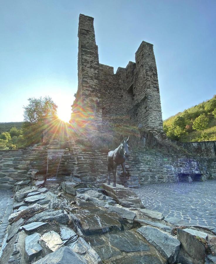 Roosartige Ferien - Ferienwohnung Am Weiherturm บาคาราค ภายนอก รูปภาพ