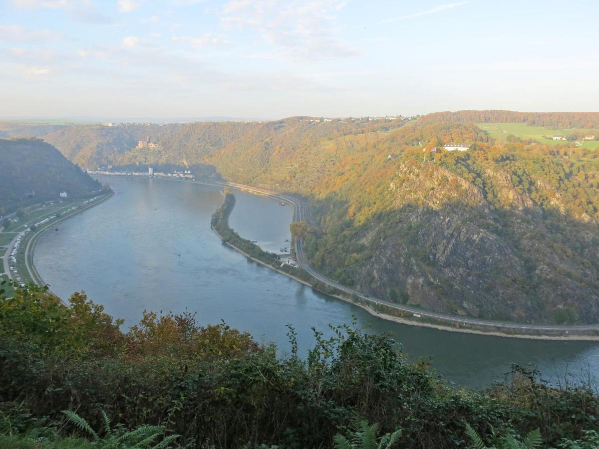 Roosartige Ferien - Ferienwohnung Am Weiherturm บาคาราค ภายนอก รูปภาพ